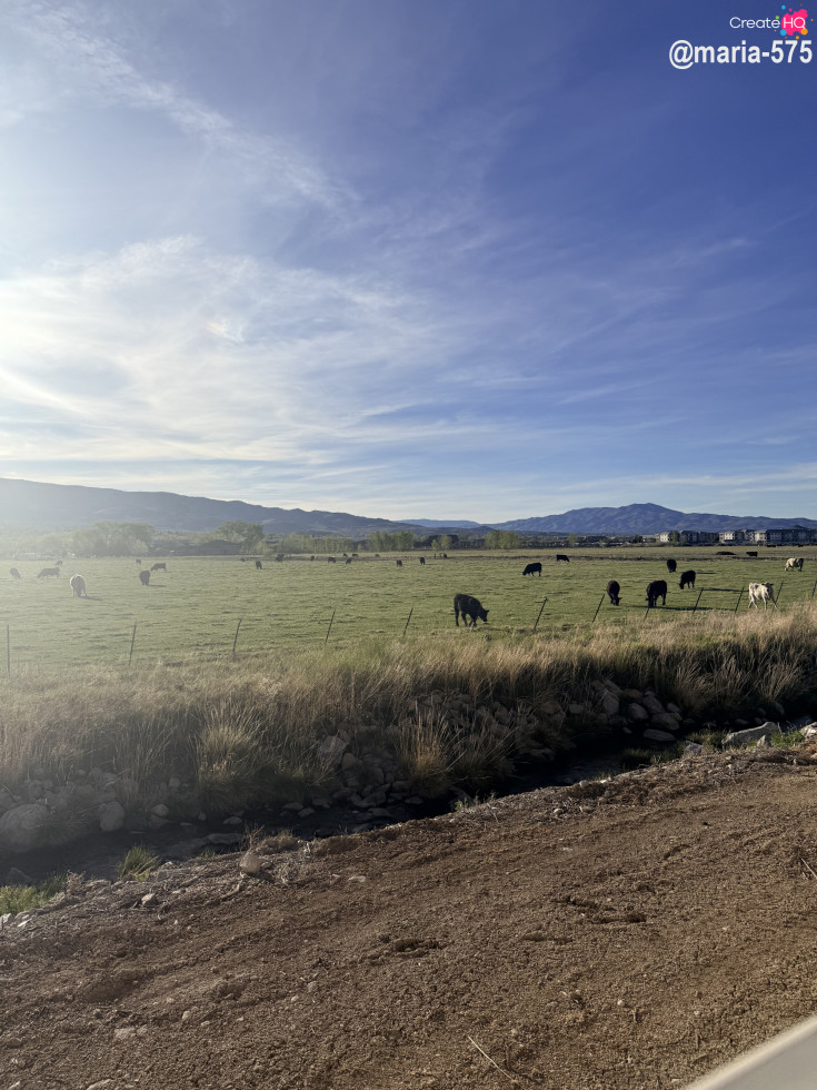 Beautiful day for HE has risen. 🙏🏽 
#BLESSED